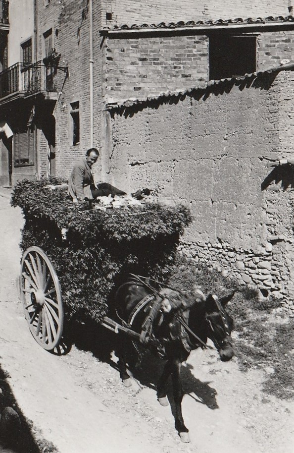 CARAMELLES El carro guarnit baixant pel carrer Munné Orpí (altrament dit carrer de ca la Ció).jpg