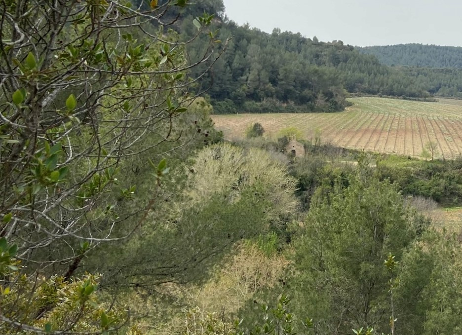 Can Torras (ca la Florinda) desaparescuda amb l'ermita de Sant Miquel (2022).jpeg