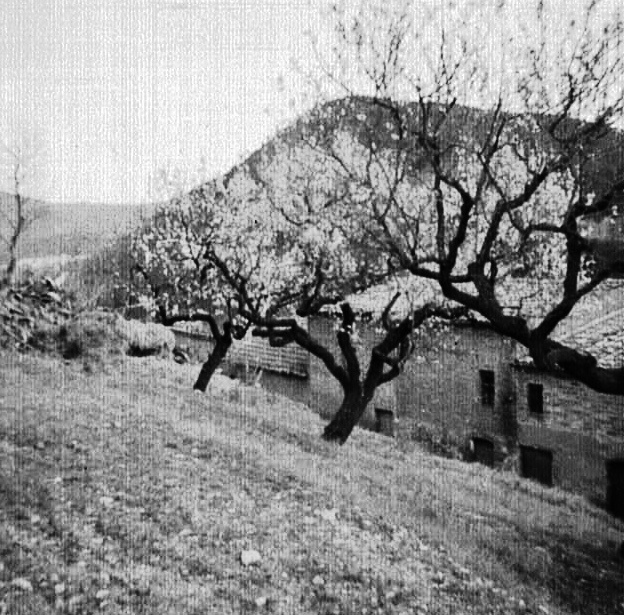 Carrer de Sant Sebastià (altrament dit carrer de l'Escarxofa) pel darrere (Anys 40).jpg