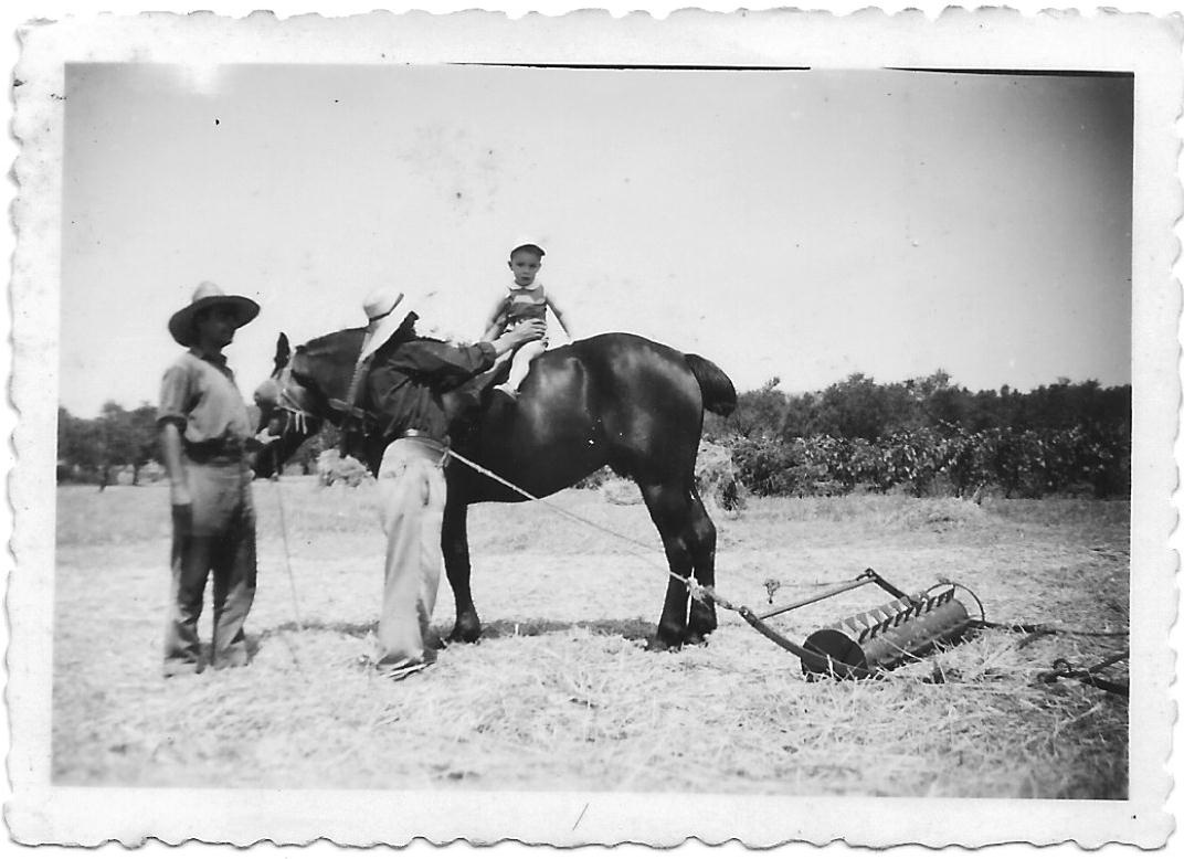 EL TREBALL L,Era. Josep de cal Torretes i en Jaume Masias a caball.jpg