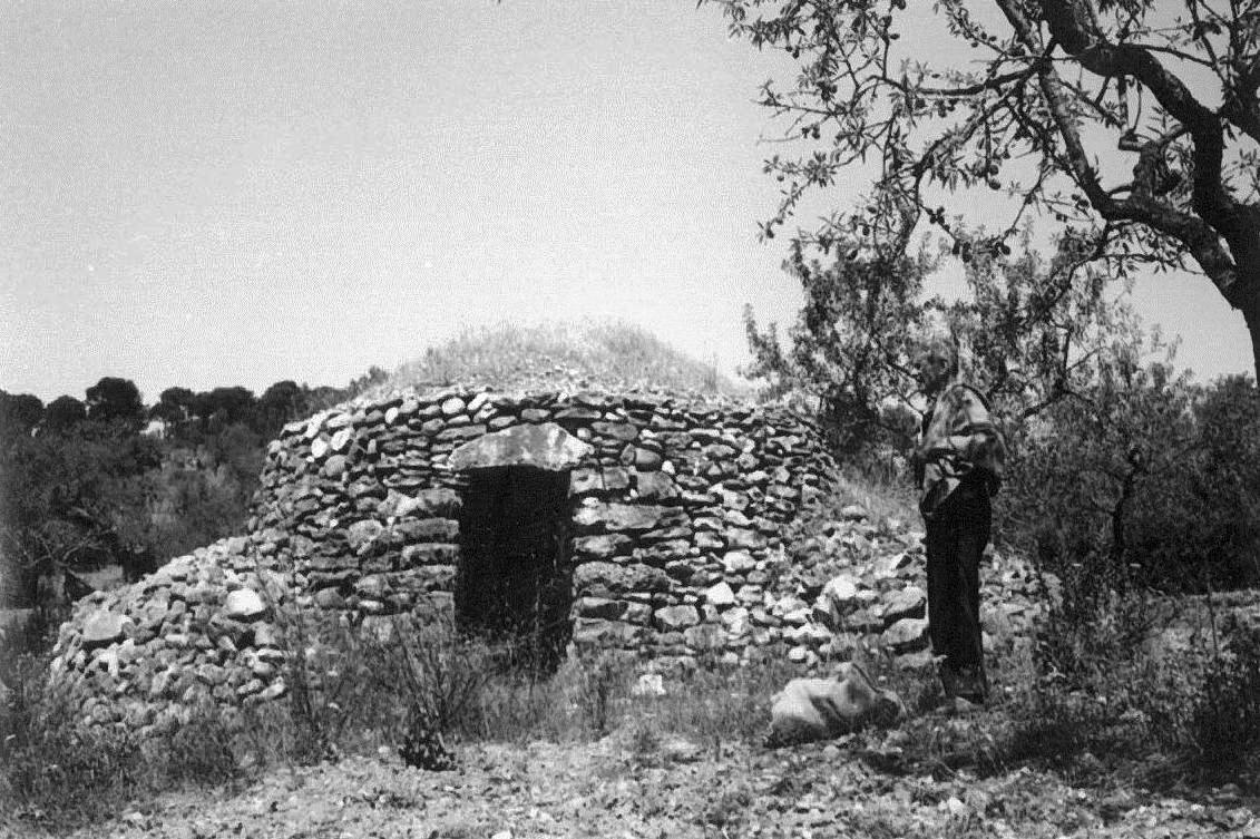 EL TREBALL La vinya. Barraca de vinya amb el Joan de cal Sopes.jpg