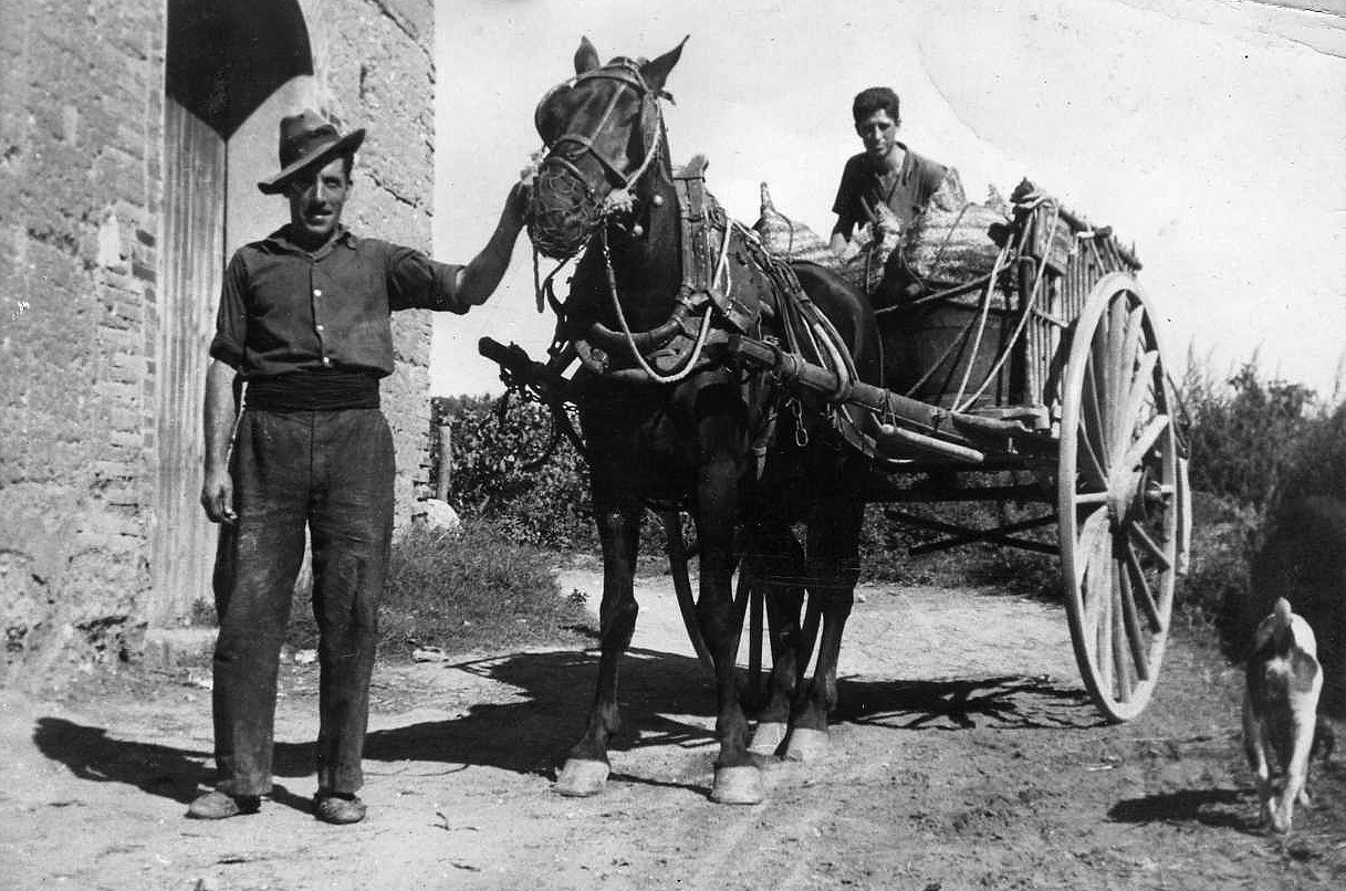 EL TREBALL La vinya. En Joan de can Borràs i el Tonet de ca la Mundeta amb el carro carregat de raim .jpg