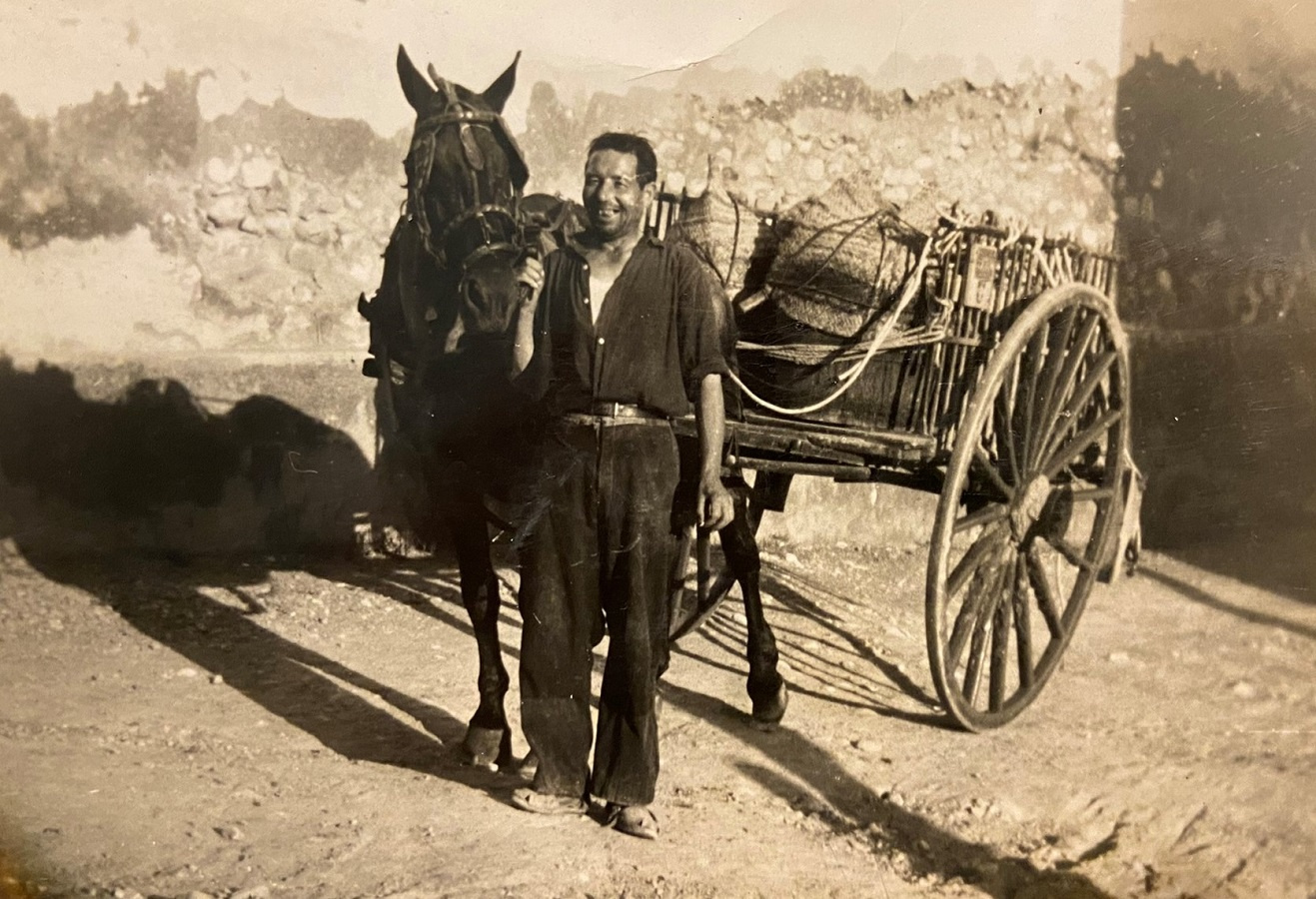 EL TREBALL La vinya. Jaume de ca la Remei amb el carro carregat de raim.JPEG