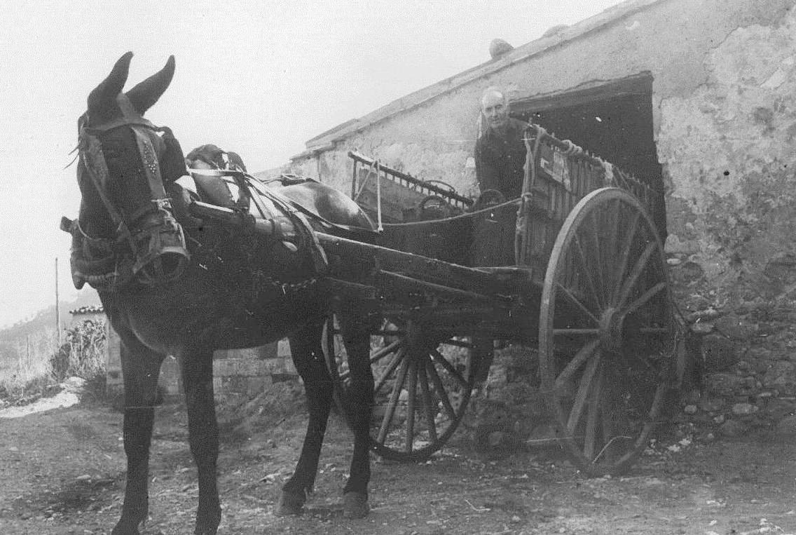 EL TREBALL La vinya. Pere de cal Grau descarregant portadores.jpg