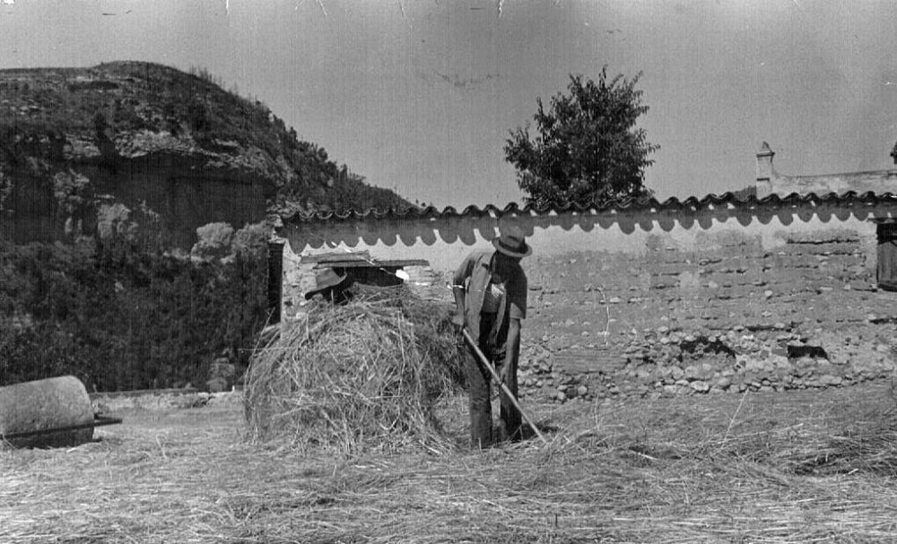 EL TREBALL L'era amb el Figuerot al fons. Climents pare i fill de cal Climent..jpg