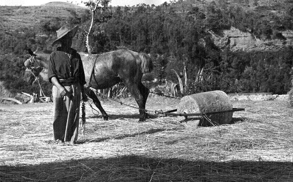 EL TREBALL L'era. Climent de cal Climent..jpg