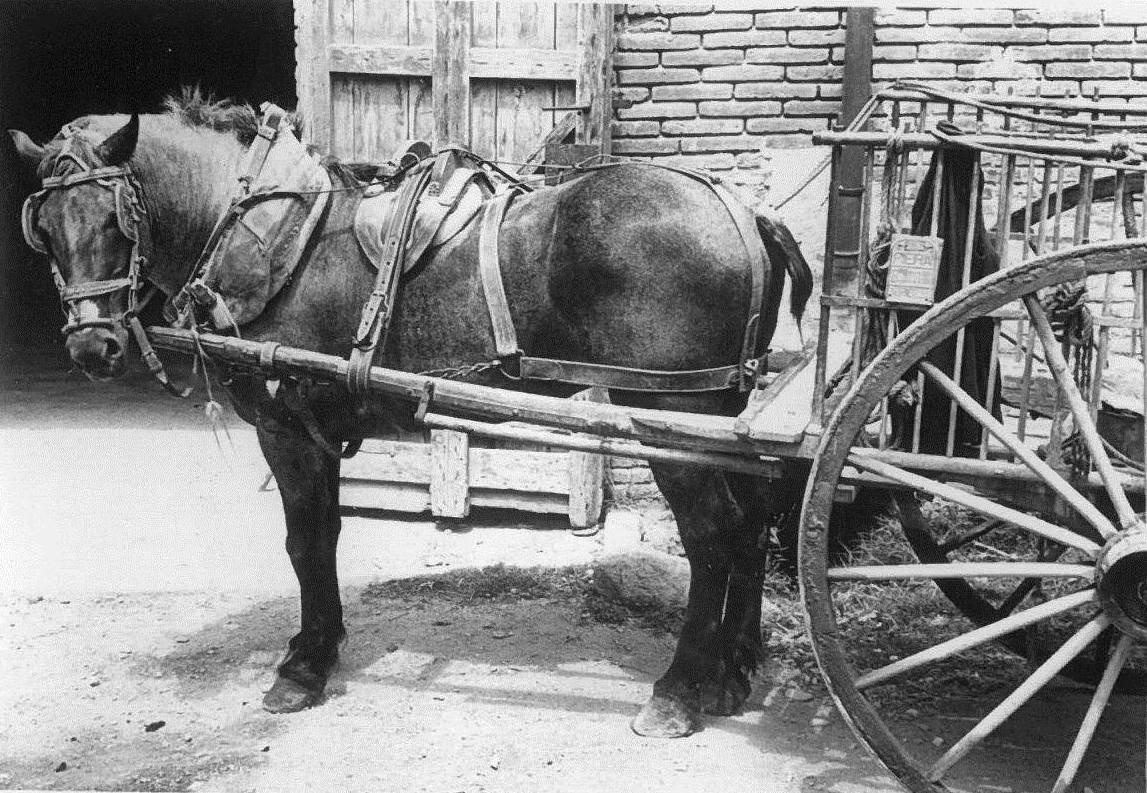 EL TREBALL Un carro ple de rocs passa per la carretera.jpg