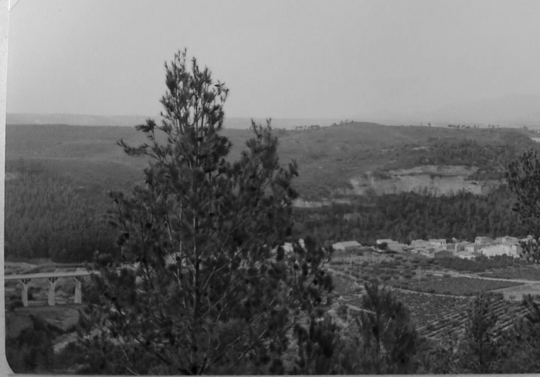 El Bedorc al 1980.jpg