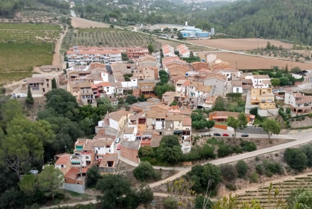 El Bedorc des de l'esvoranc del Figuerot (Anys 60 versus 2022) Foto Sergi Samsó.jpg