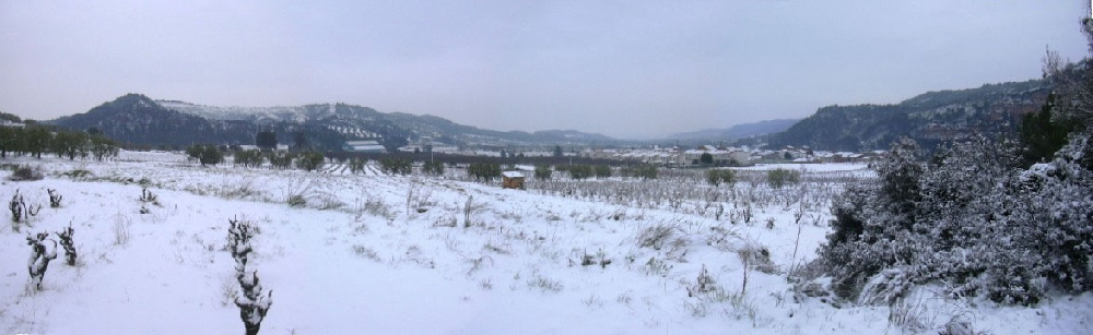 El Bedorc nevat des de el camí de can Ferrer.jpg