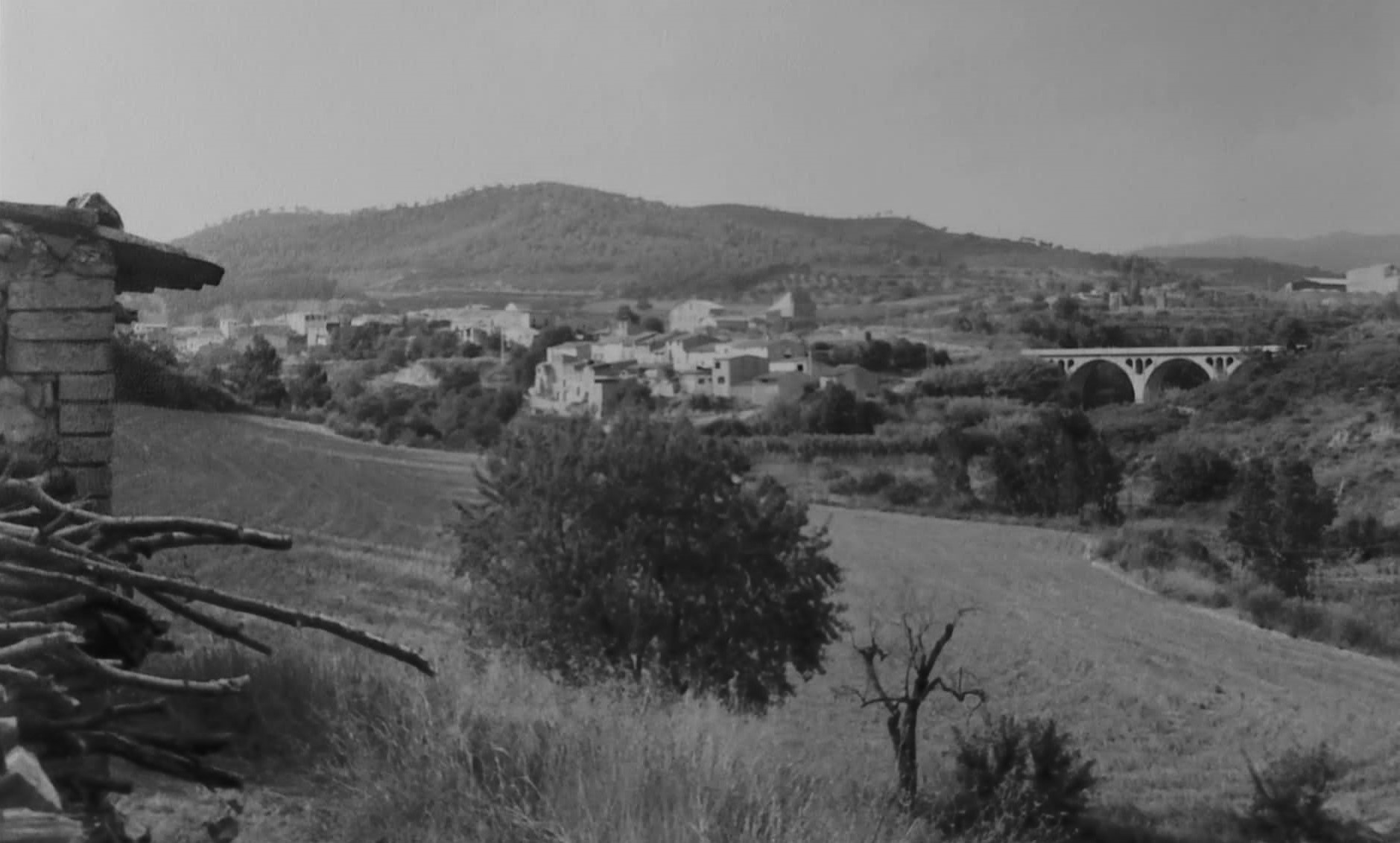 El bedorc des de la barraca de Can Codony.jpg