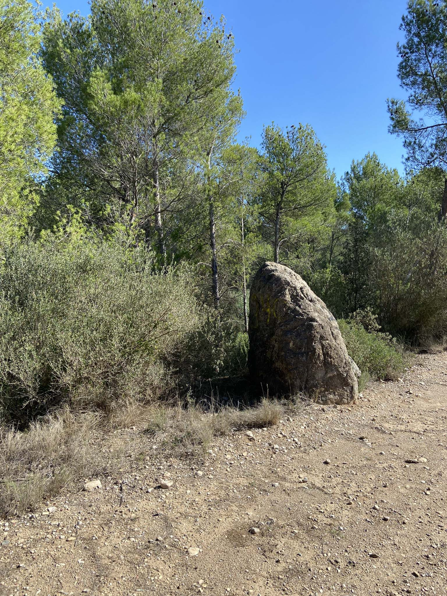 El menhir (Camí de can Codony a can Gallego).jpg