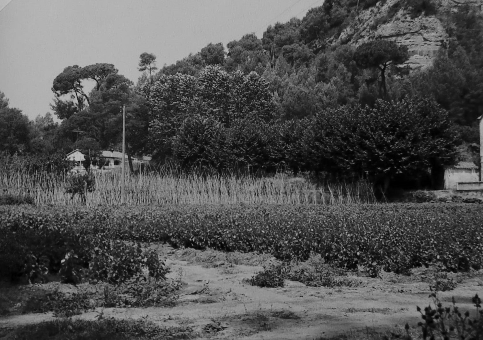 Els horts de la fàbrica 1980.jpg