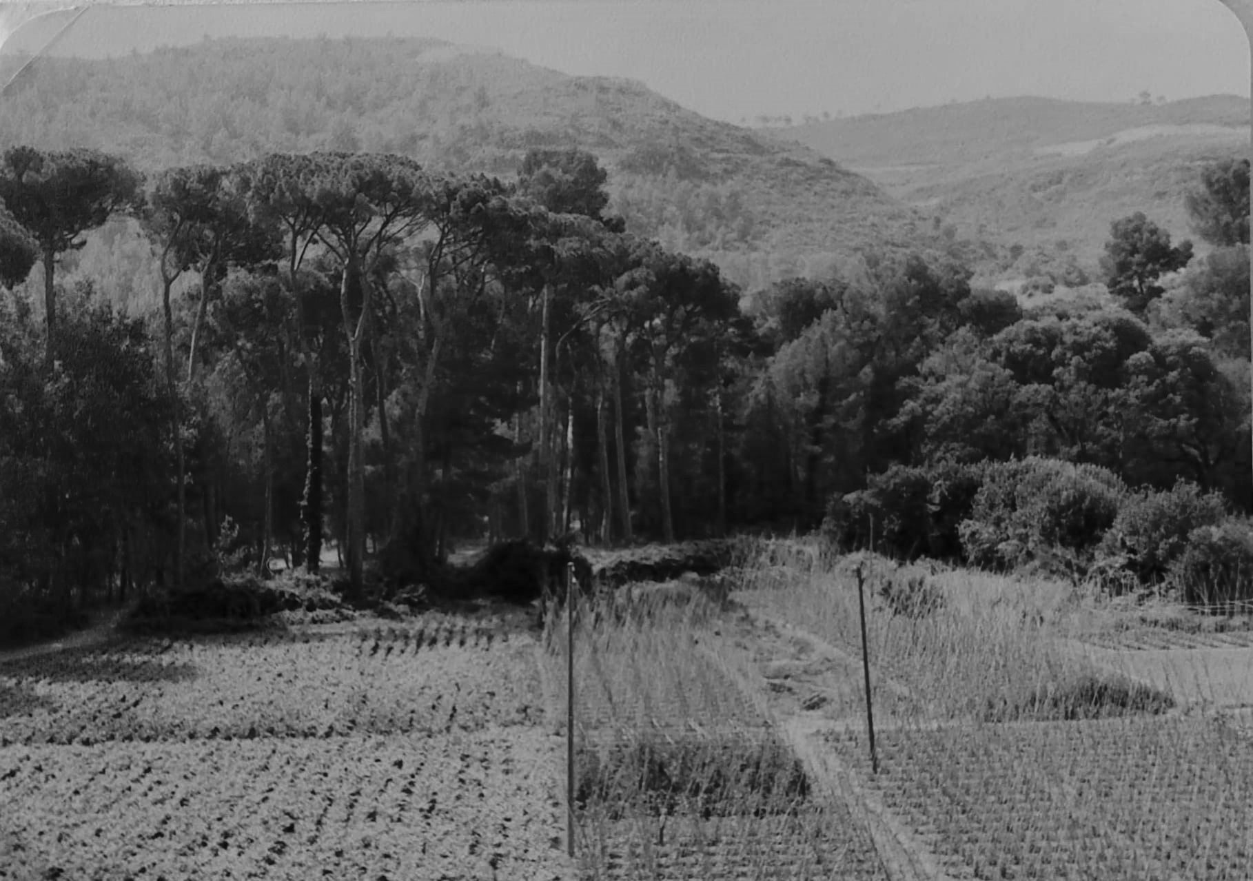 Els horts de la fàbrica a la Pineda 1980.jpg