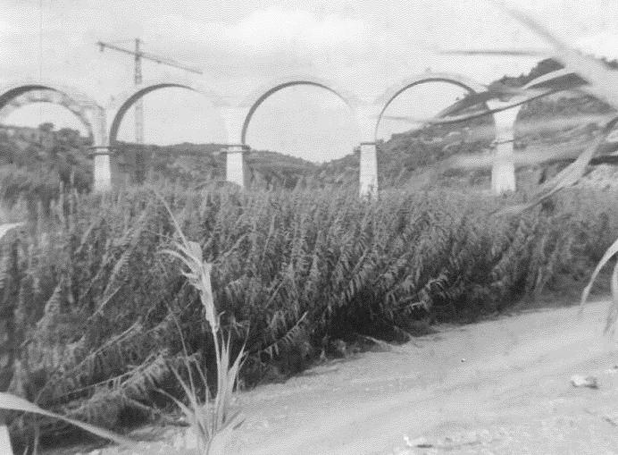 FENT LA CARRETERA Molts anys després... Costrucció del Pont del Bedorc 3de5.jpg