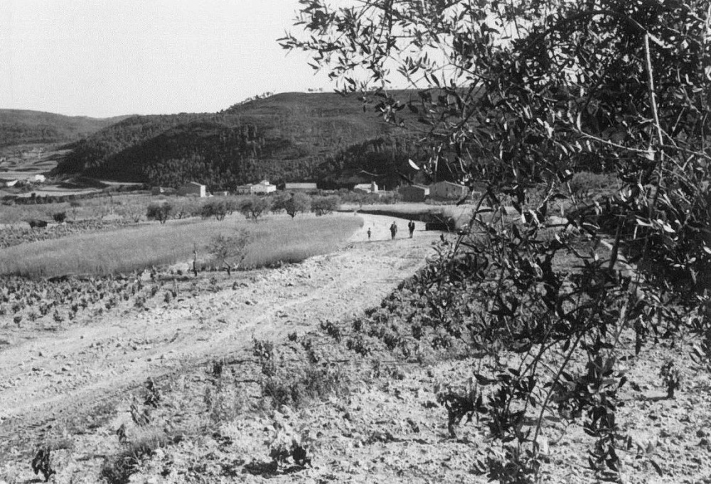 FENT LA CARRETERA Plana del Bedorc. Inici de la carretera.jpg