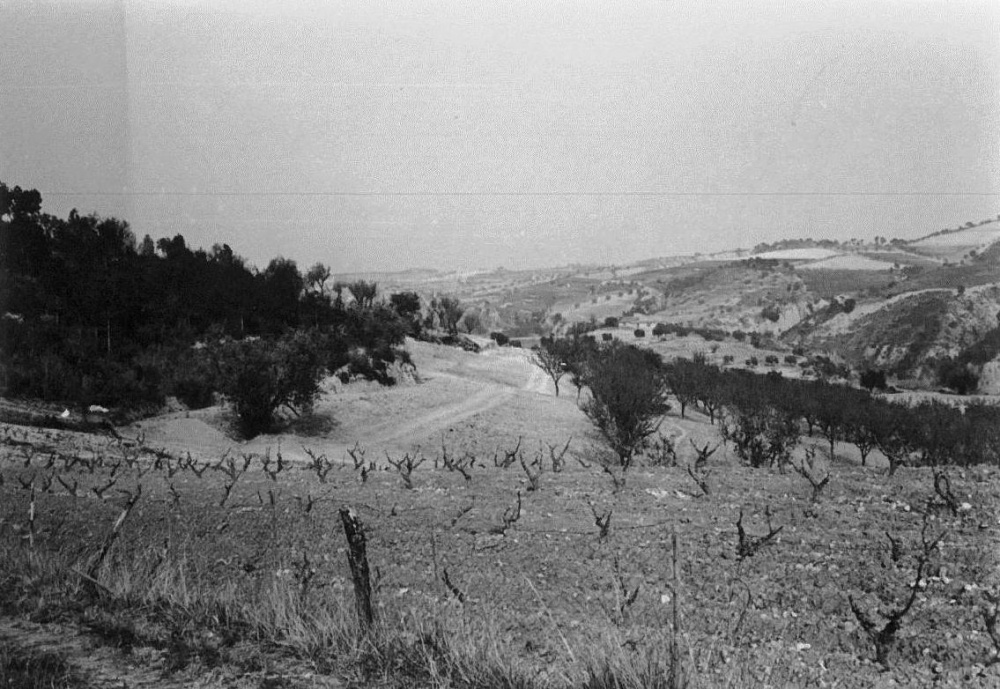 FENT LA CARRETERA Pont de Can Mata. Plans de can Mata abans de fer la carretera.jpg