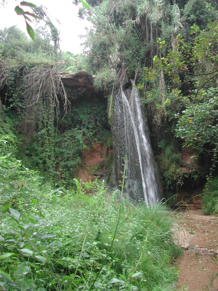 Font dels Capellans.JPG