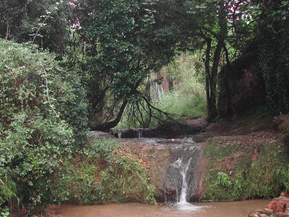 Font dels Capellans El torrent.JPG