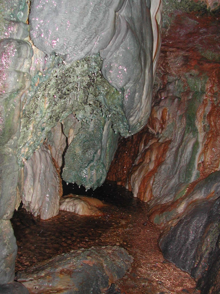 Font dels Capellans La cova dels degotalls.JPG