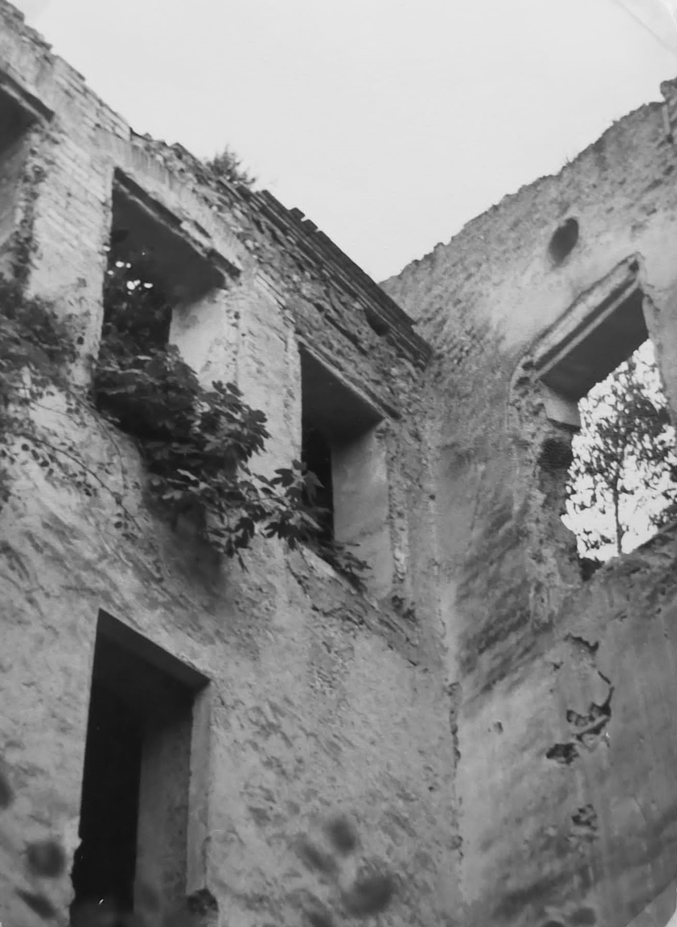 Interior del Molí 1980.jpg