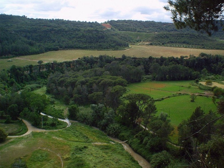 La Pineda vista des de la Quintana.jpg