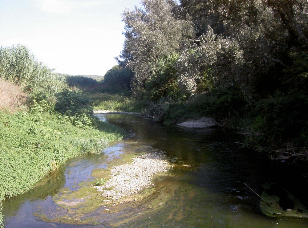 La riera (l'Anoia) al seu pas pel Molí.JPG