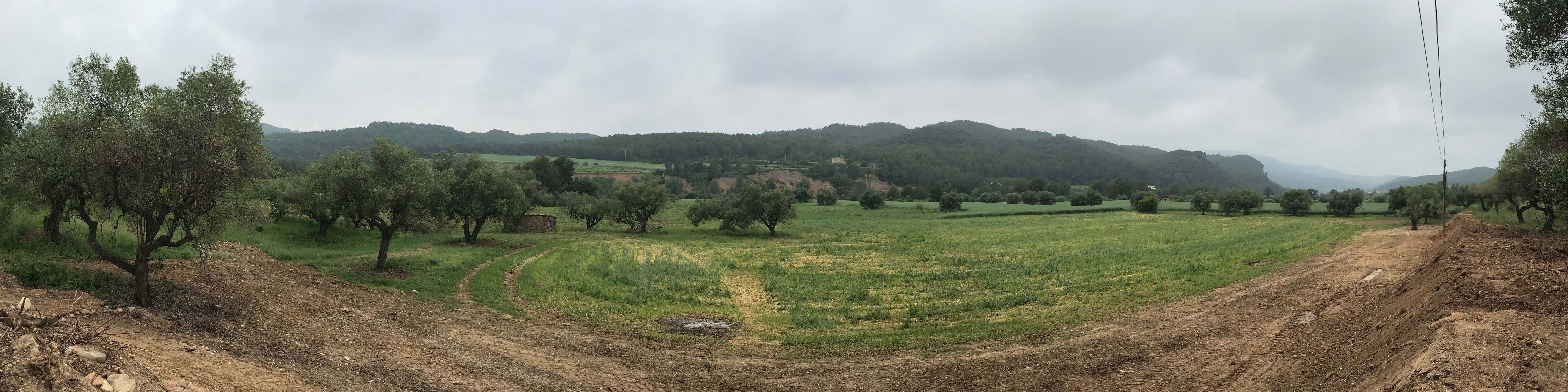 La vall de l'Anoia entre el Bedorc i Sant Jaume Sesoliveres.jpg