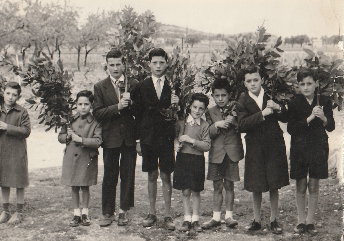 Ramón i Àngel de ca l'Enric, Joan de cal Xaus, Pere de ca la Marianga, Josep Mª de can Borràs, Josep de ca l'Agustí, Isidre de ca l'Elvira, Josep de cal Llorenç.jpg