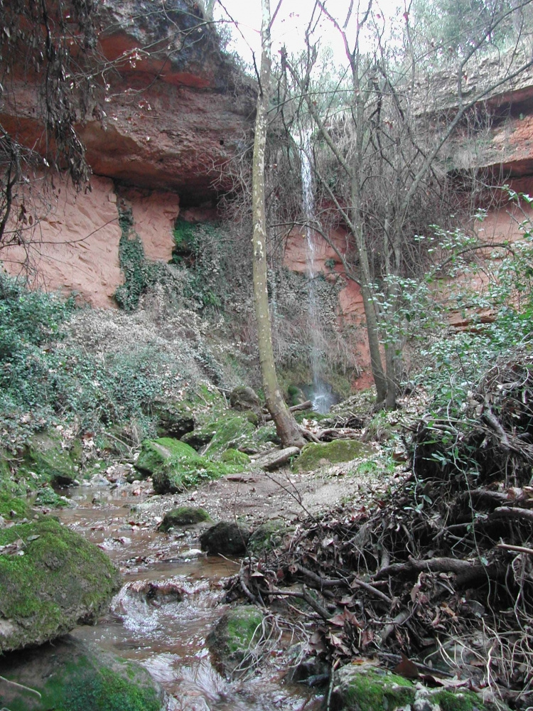 Salt de la Mala Dona El torrent.JPG