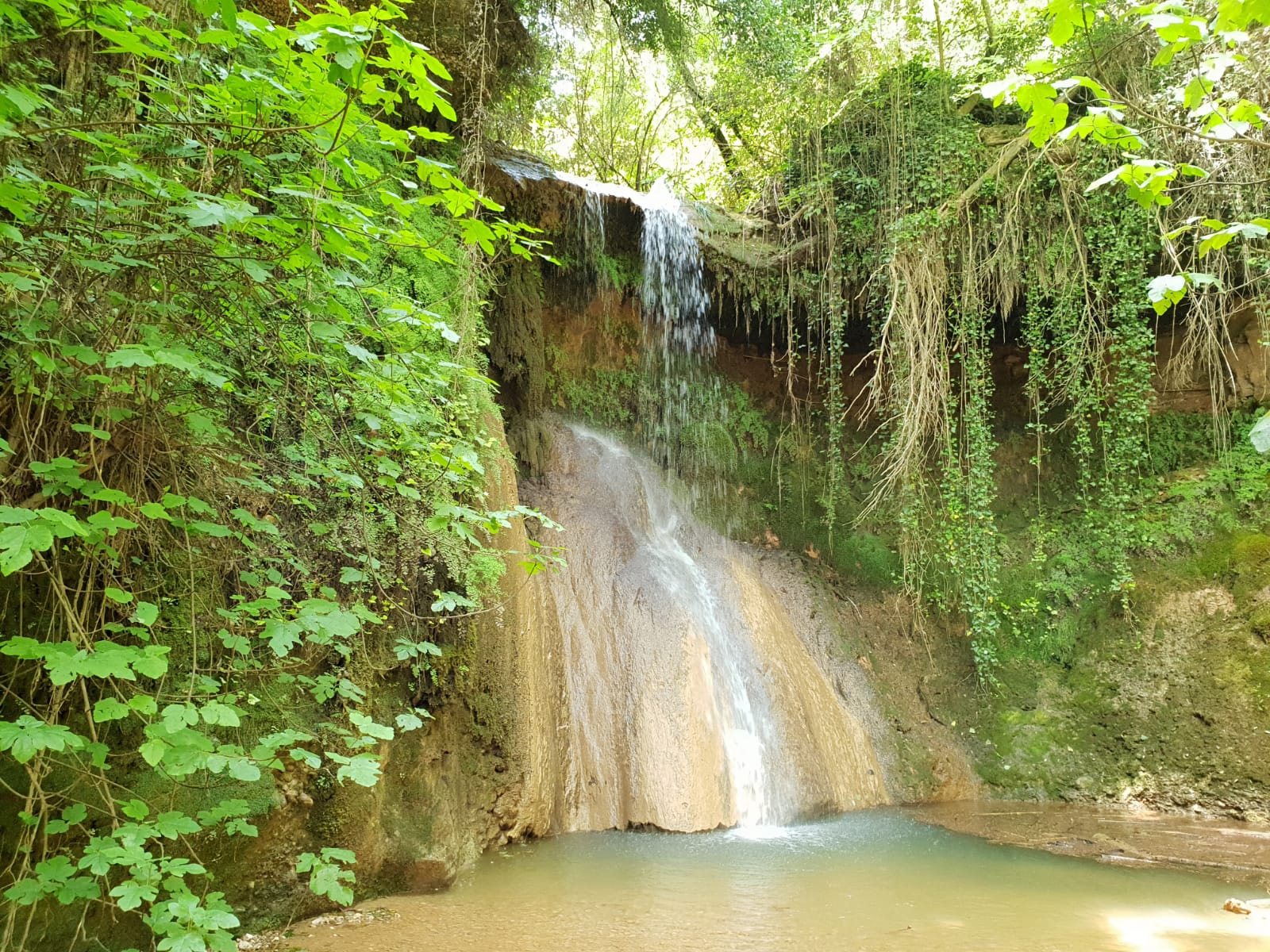 Salt del Rector (Foto Gemma Pujol).jpeg