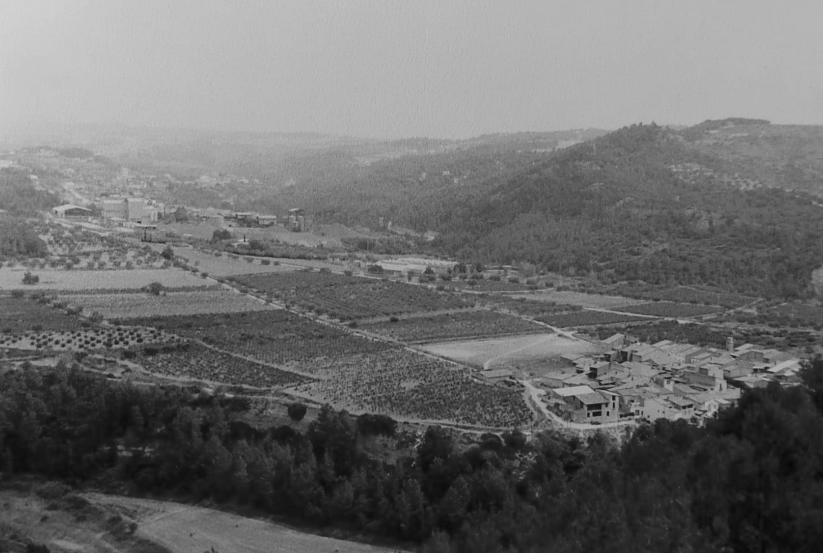 Vista del Bedorc amb la fàbrica Arlita 1980.jpg