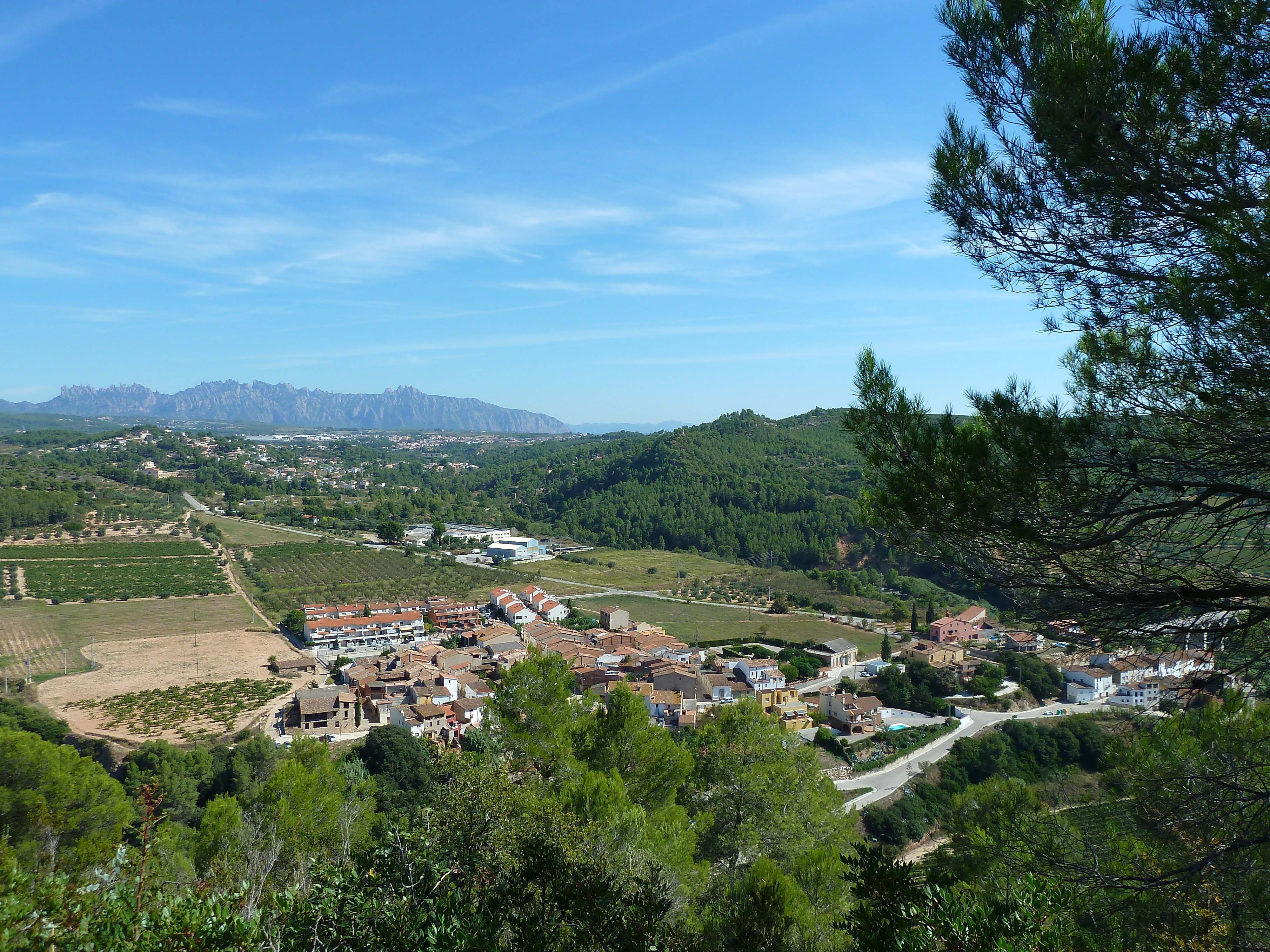 el Bedorc 2010. Montserrat al fons.JPG